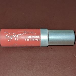 🍁CIDER Mary Kay Signature Lip POLISH DISCONTINUED